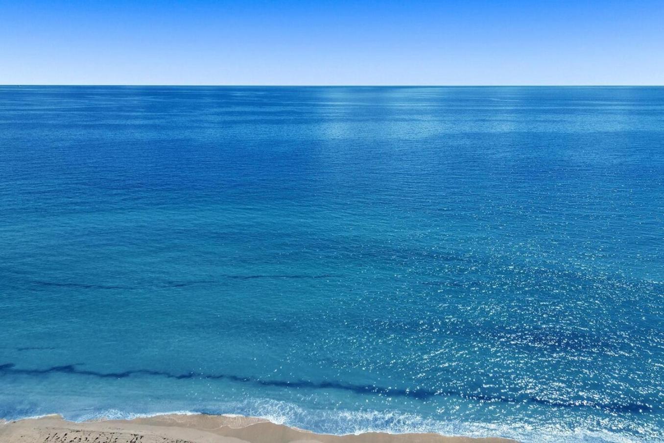 Waves On Desoto Rental Unit With Pool هوليوود المظهر الخارجي الصورة